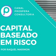 Raquel Marimon - Capital Baseado em Risco