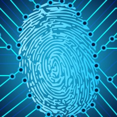 ANS nomeia servidor encarregado pelo tratamento de dados pessoais 